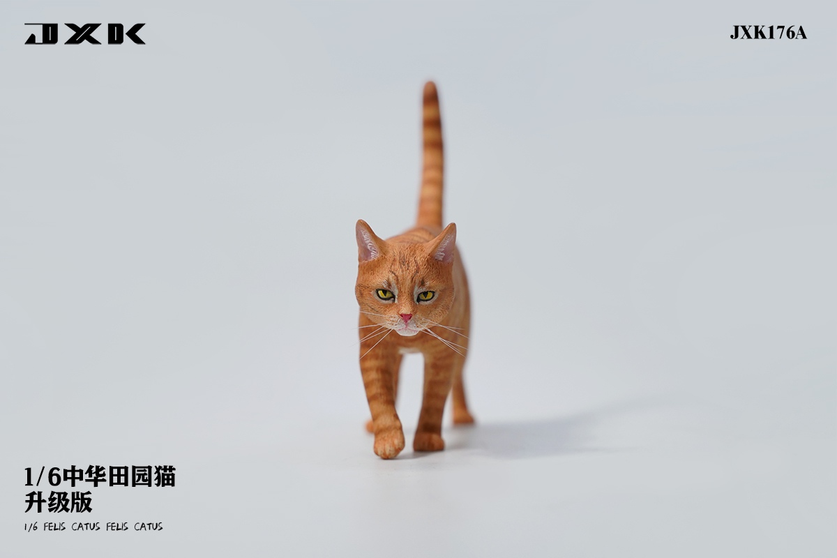Chinese pastoral cat upgraded version 1/6