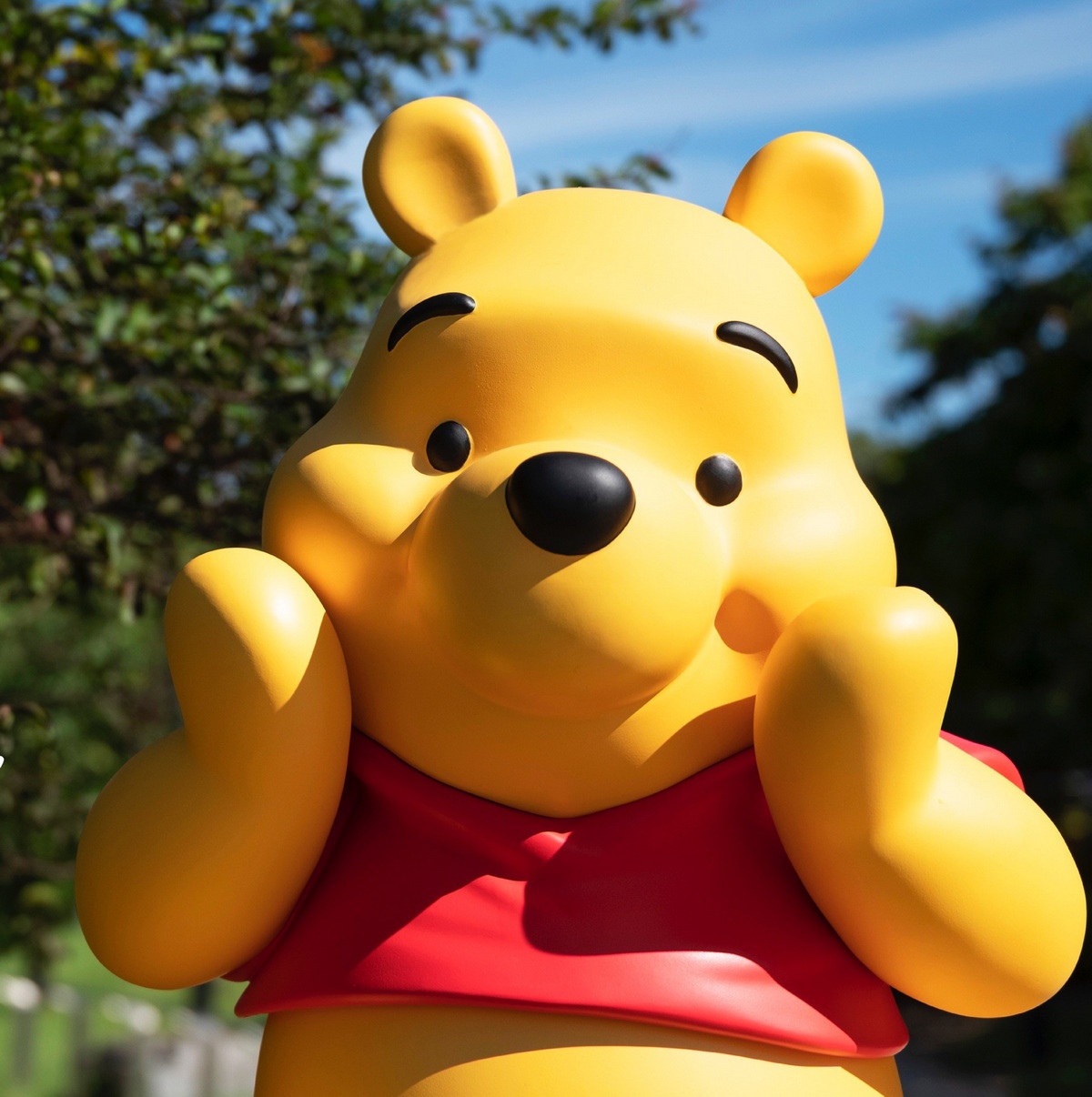 Winnie the Pooh Classic