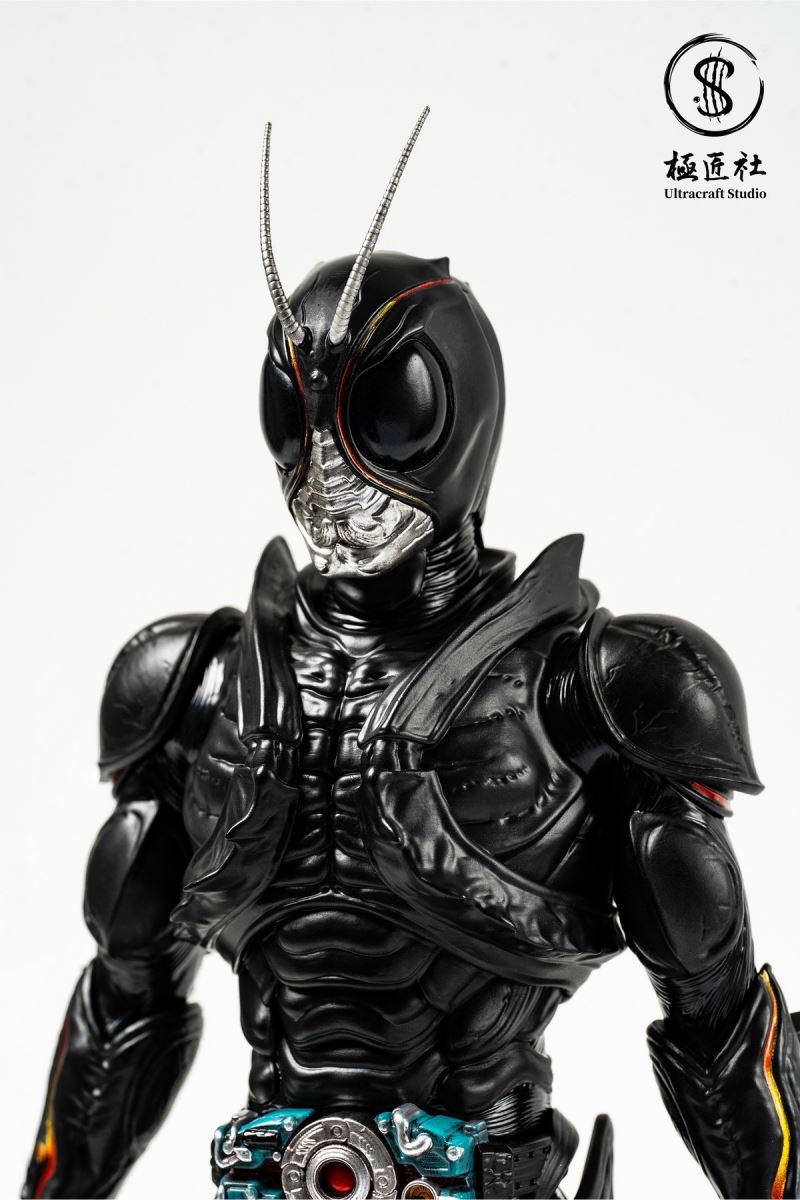 Kamen Rider Black Sun 1/6