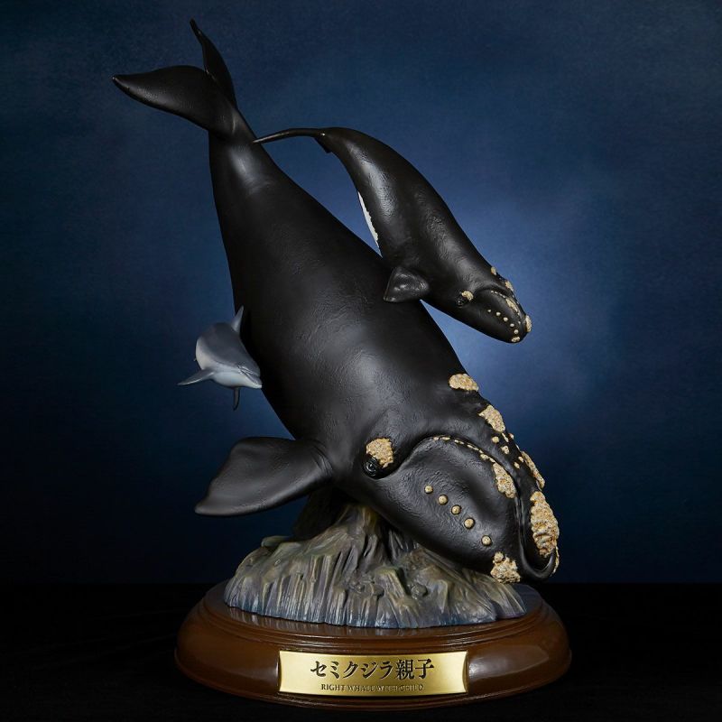 NATURE TALES right whale parent-child