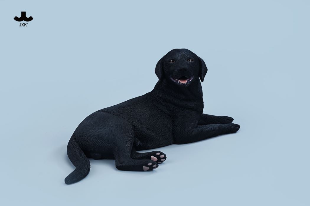 Labrador 1/6