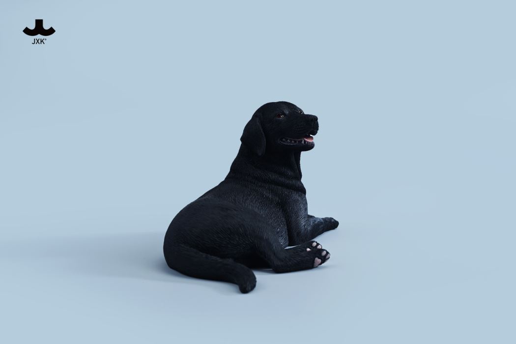 Labrador 1/6