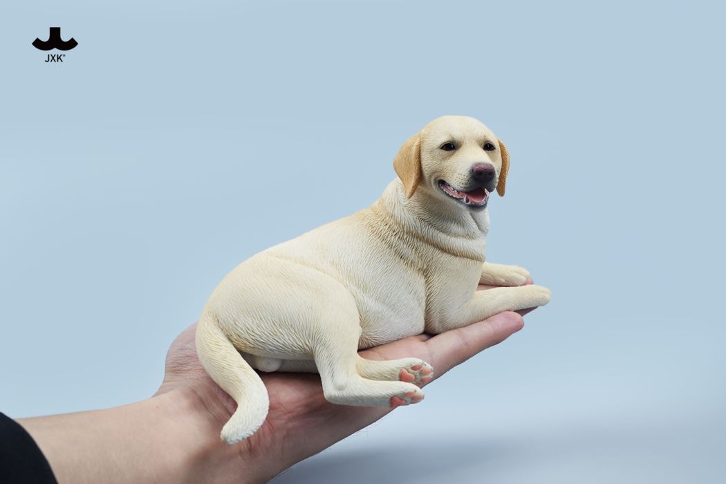 Labrador 1/6