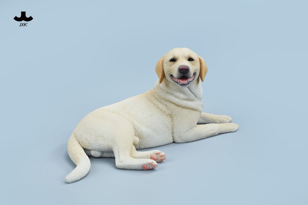 Labrador 1/6
