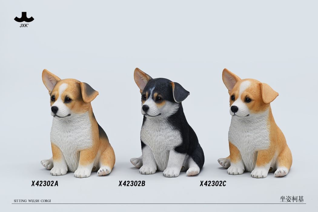 Sitting welsh corgi