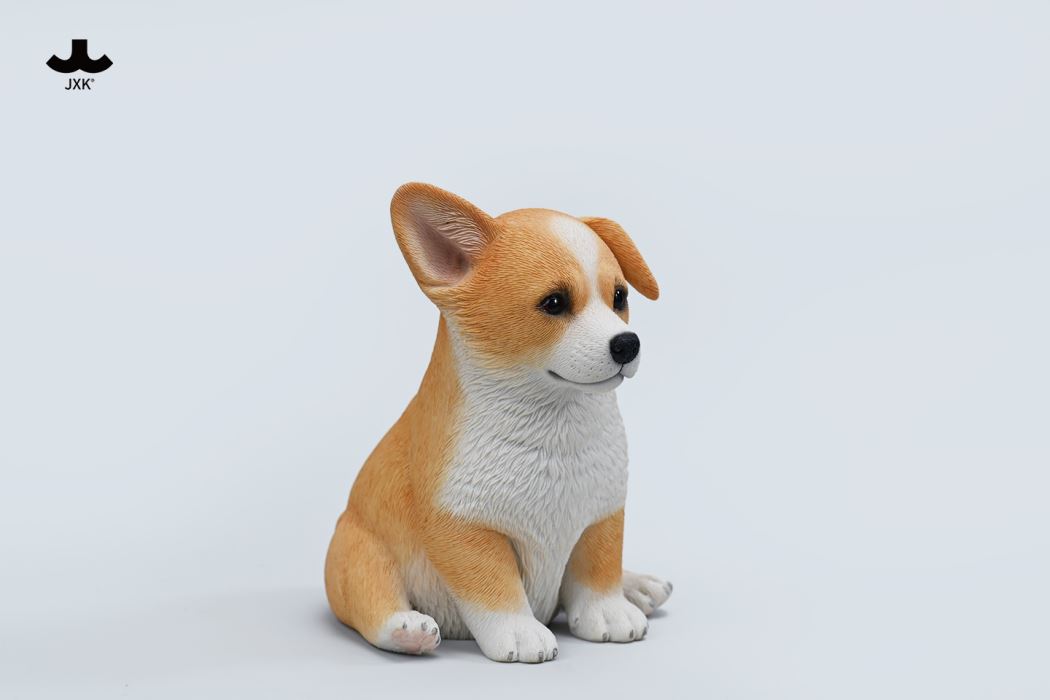 Sitting welsh corgi
