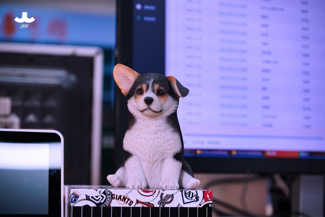 Sitting welsh corgi