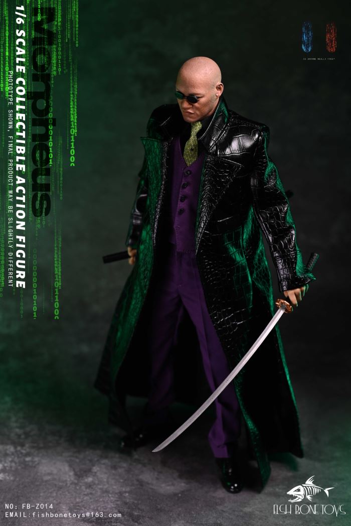 Matrix Hacker 1/6