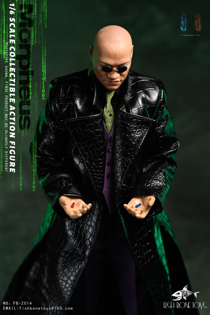 Matrix Hacker 1/6