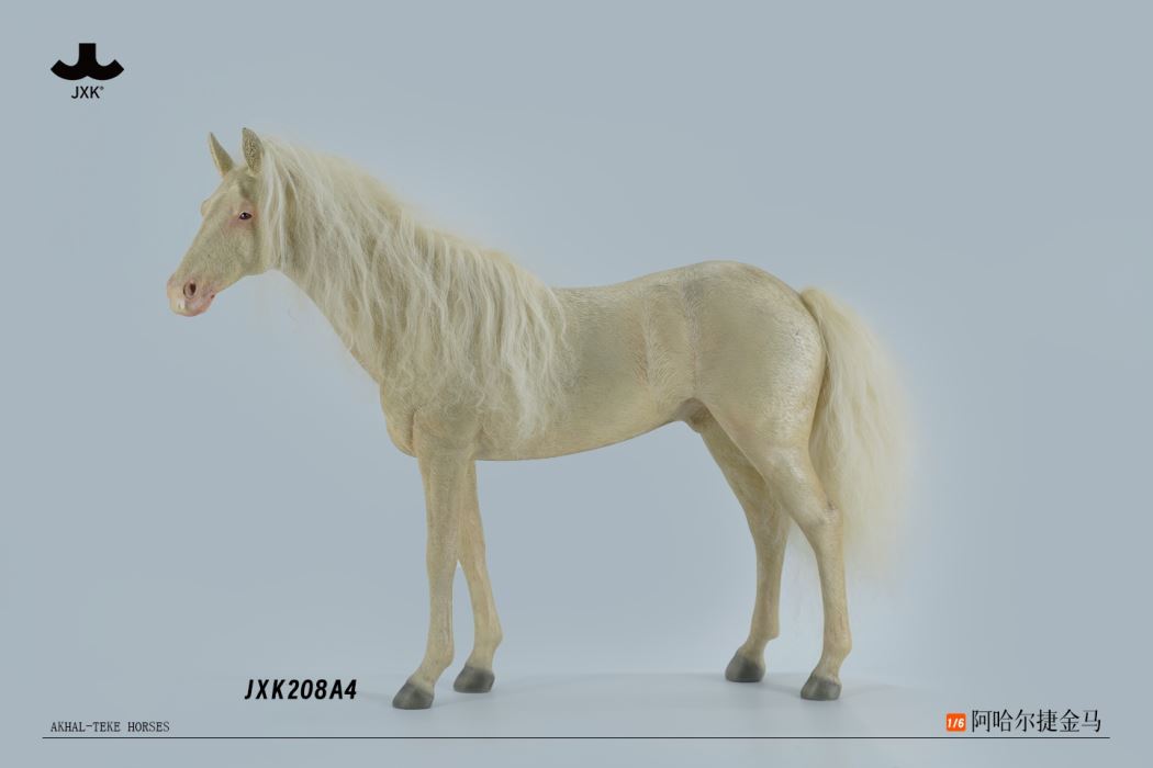 Akhal-teke horses 1/6