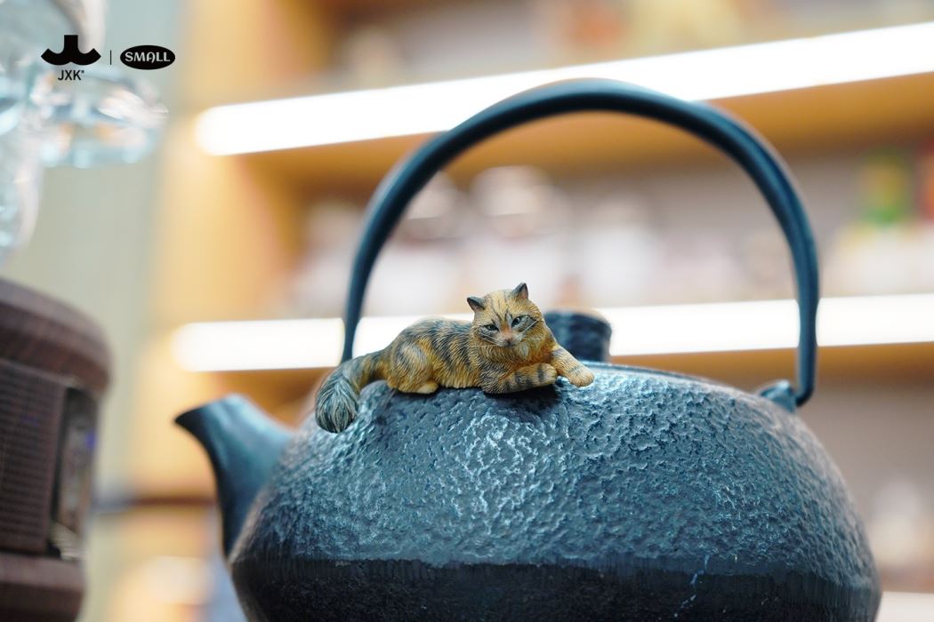 mini maine coon cat [JS2310]