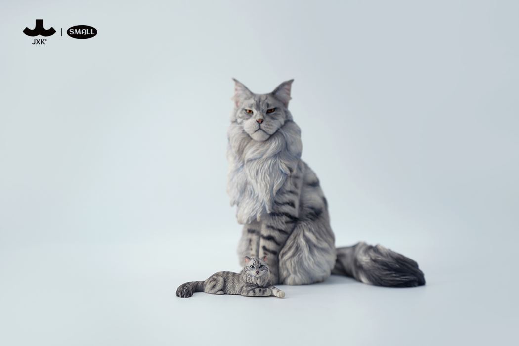 mini maine coon cat [JS2310]
