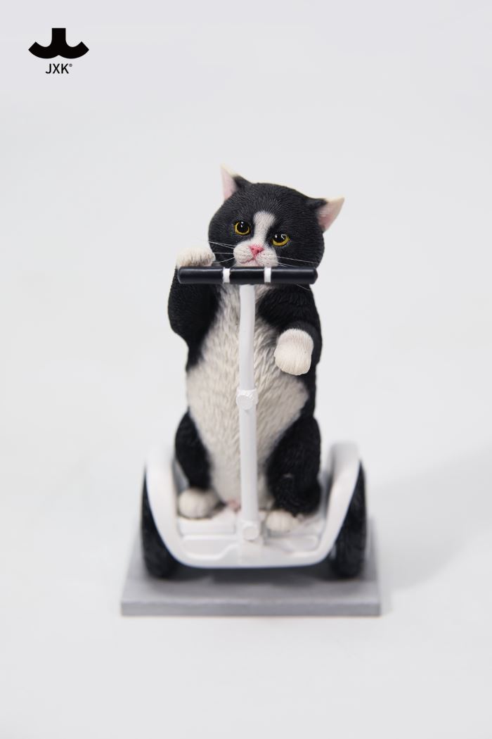 Scottish Fold 3.0 1/6