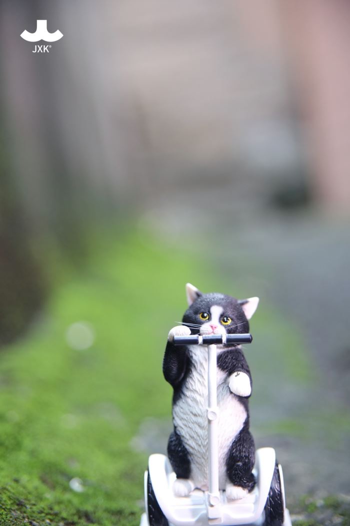 Scottish Fold 3.0 1/6