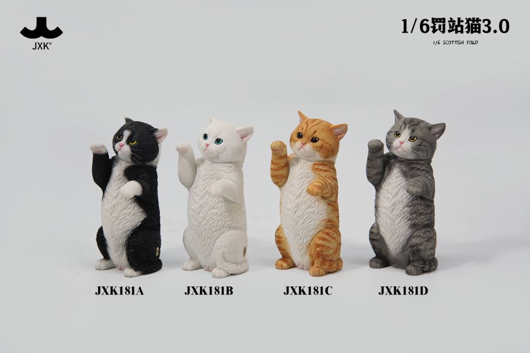 Scottish Fold 3.0 1/6