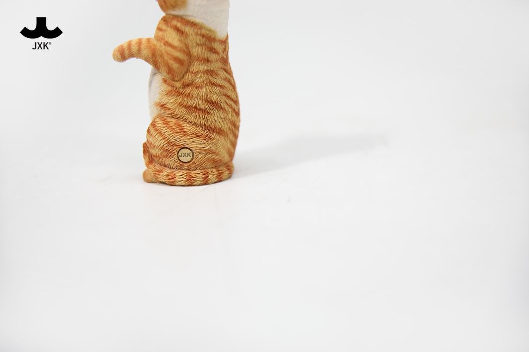 Scottish Fold 3.0 1/6