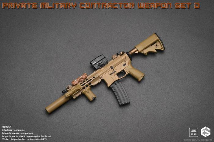 PMC Weapon Set D (Private Mliterary Contractor) 1/6