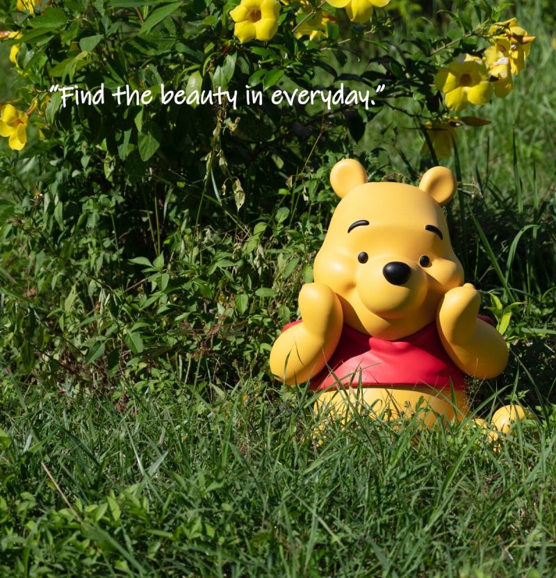Winnie the Pooh Classic