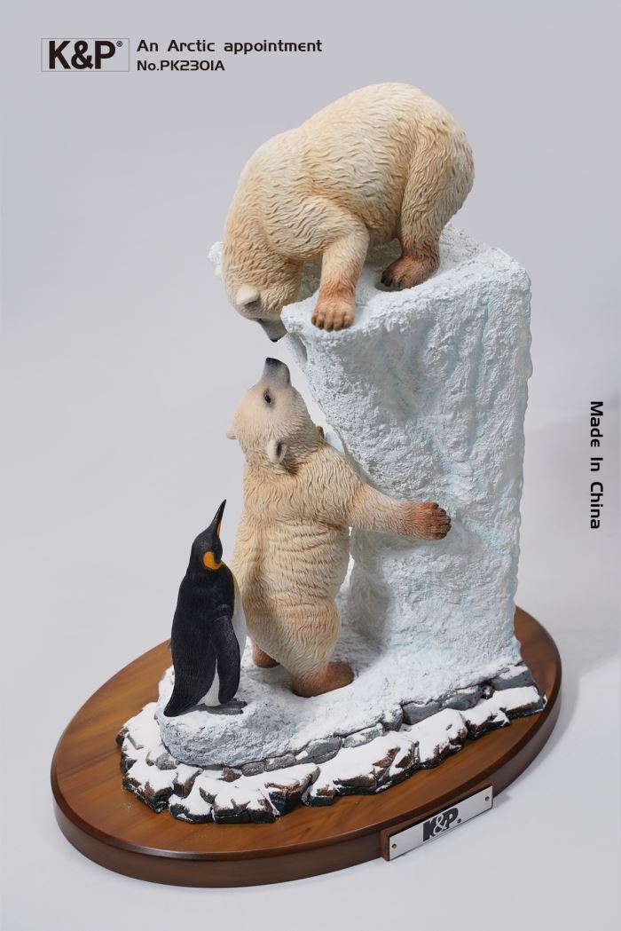 An Arctic Appointment