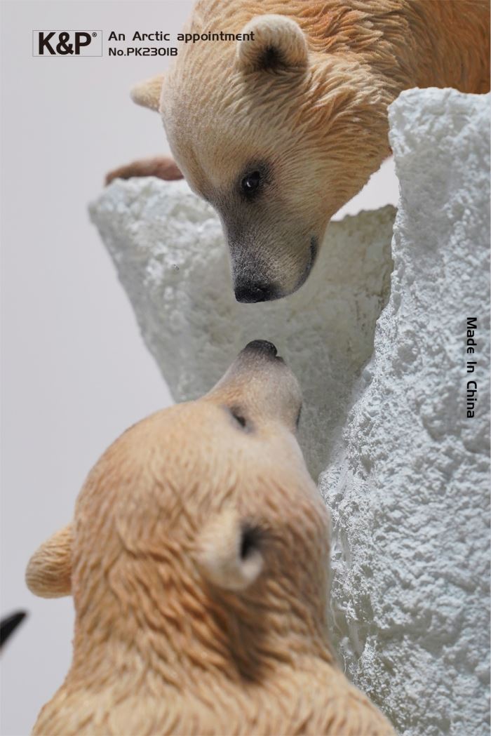 An Arctic Appointment