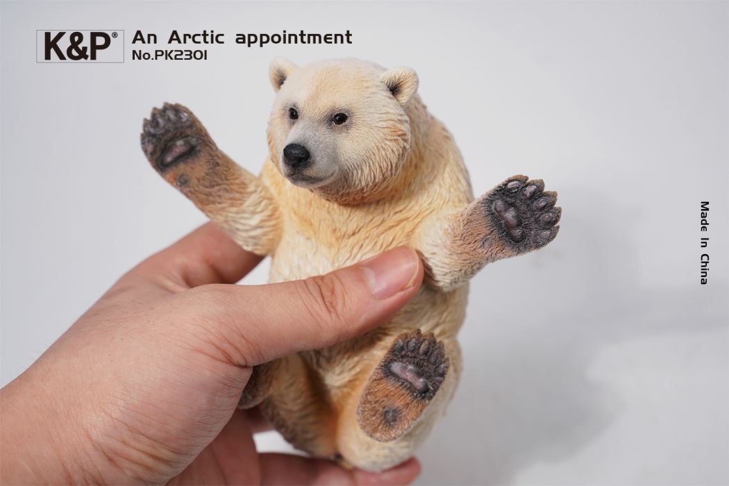 An Arctic Appointment