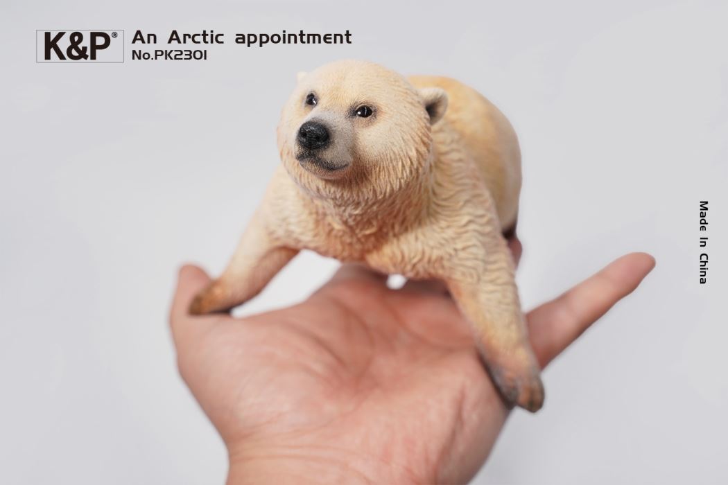 An Arctic Appointment