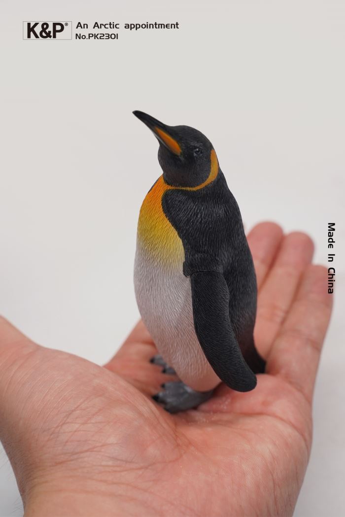 An Arctic Appointment