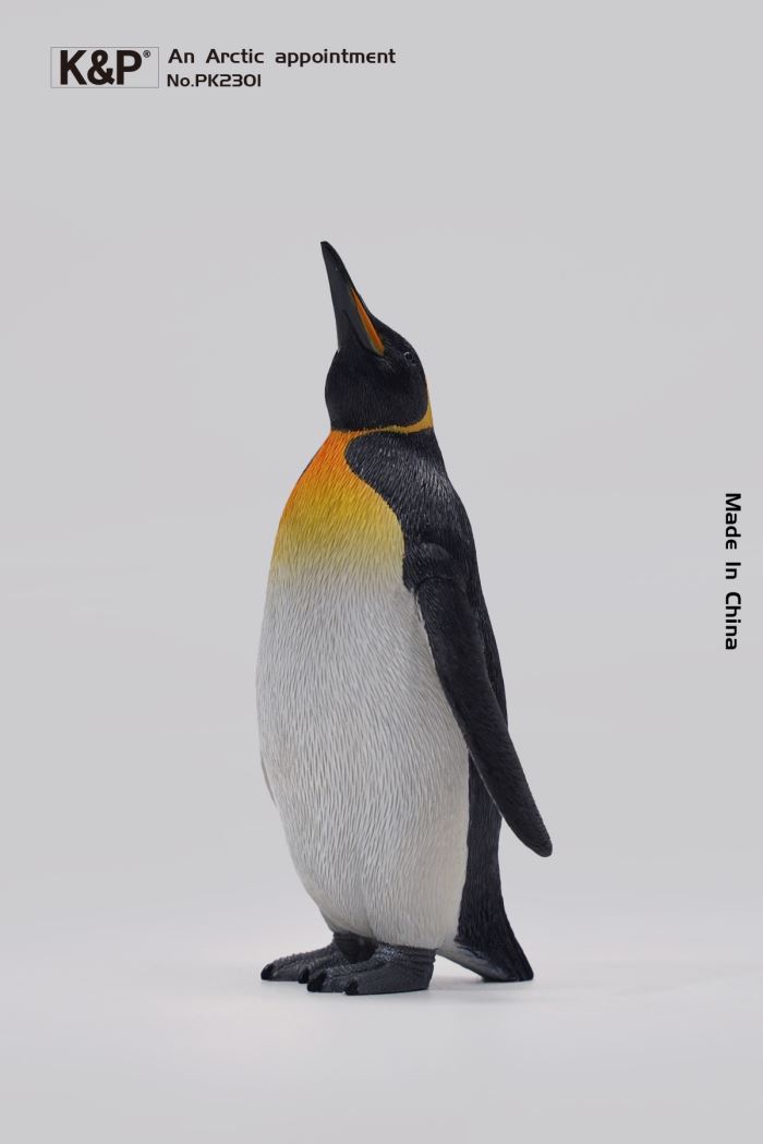 An Arctic Appointment