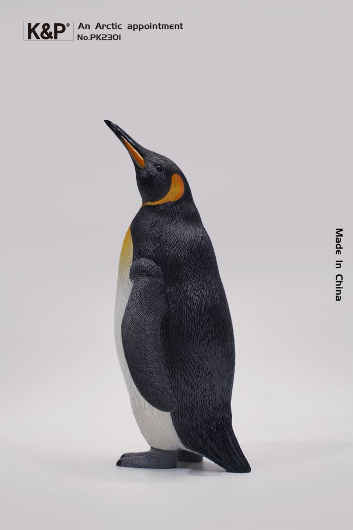 An Arctic Appointment