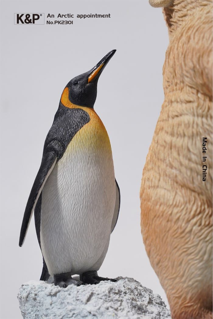 An Arctic Appointment