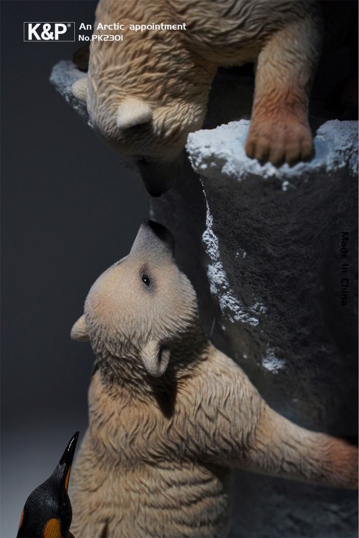 An Arctic Appointment