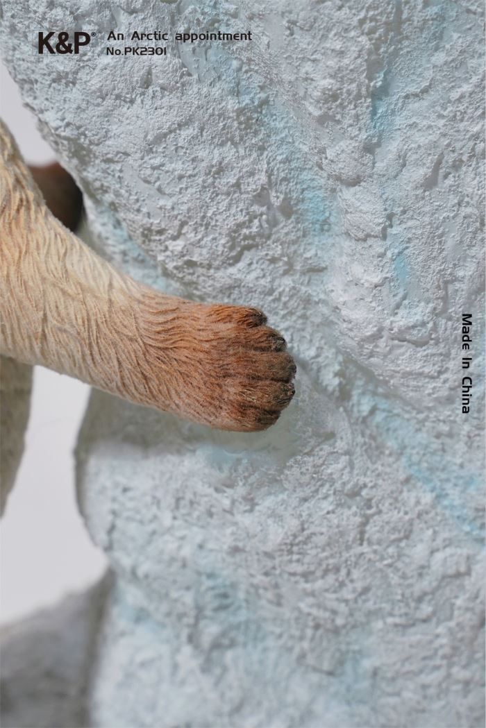 An Arctic Appointment