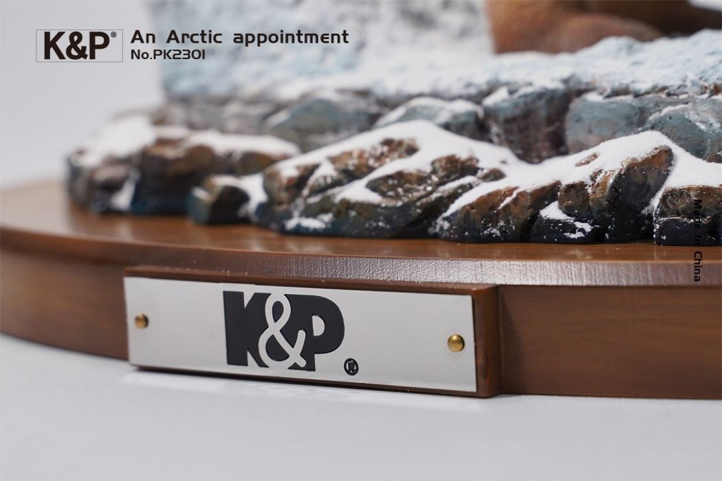 An Arctic Appointment