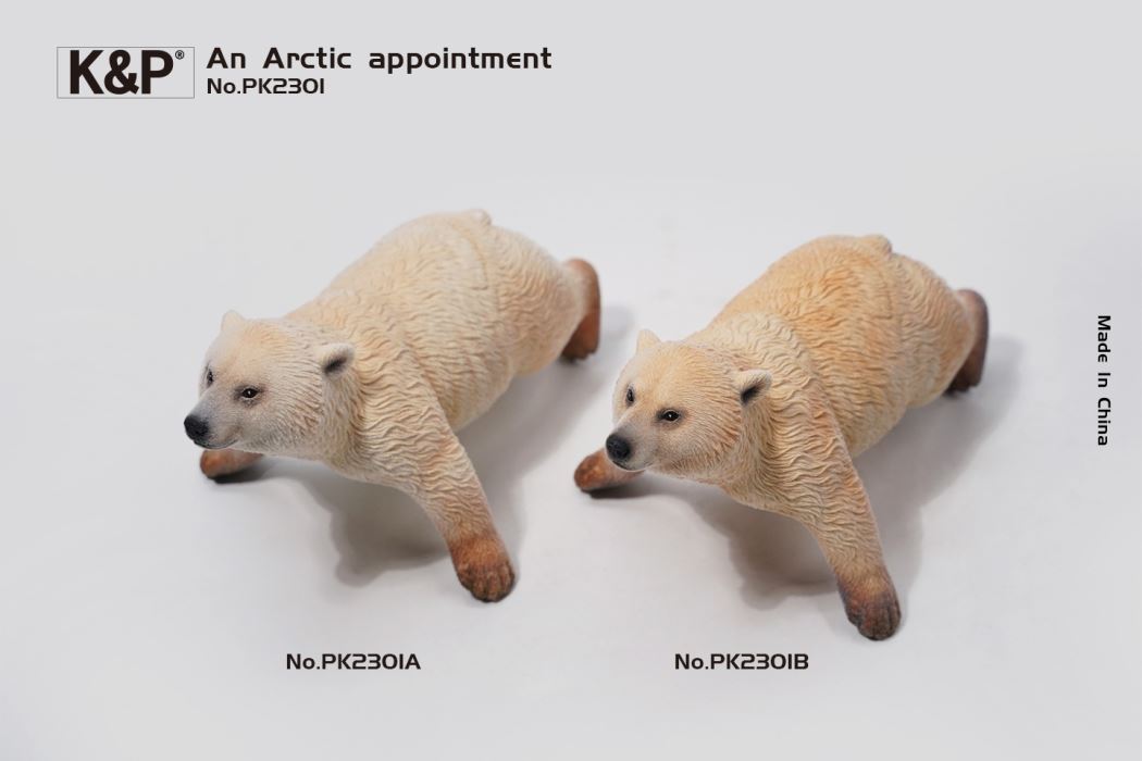 An Arctic Appointment