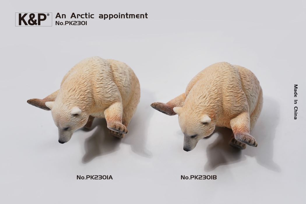 An Arctic Appointment