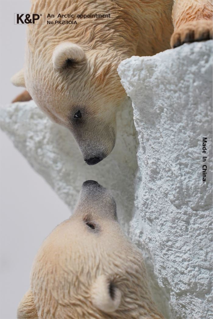 An Arctic Appointment