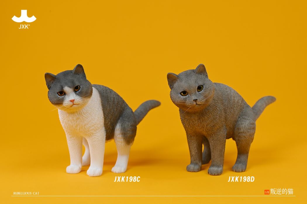 Rebellious cat 1/6