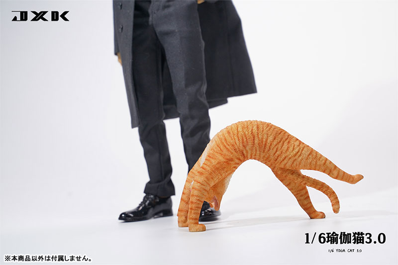 Yoga Cat 3.0 A 1/6
