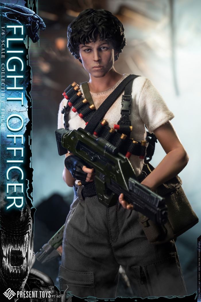 Flight officer 1/6