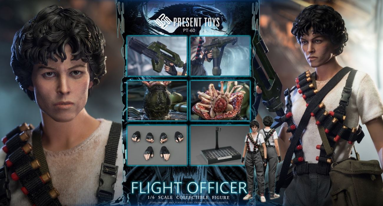 Flight officer 1/6