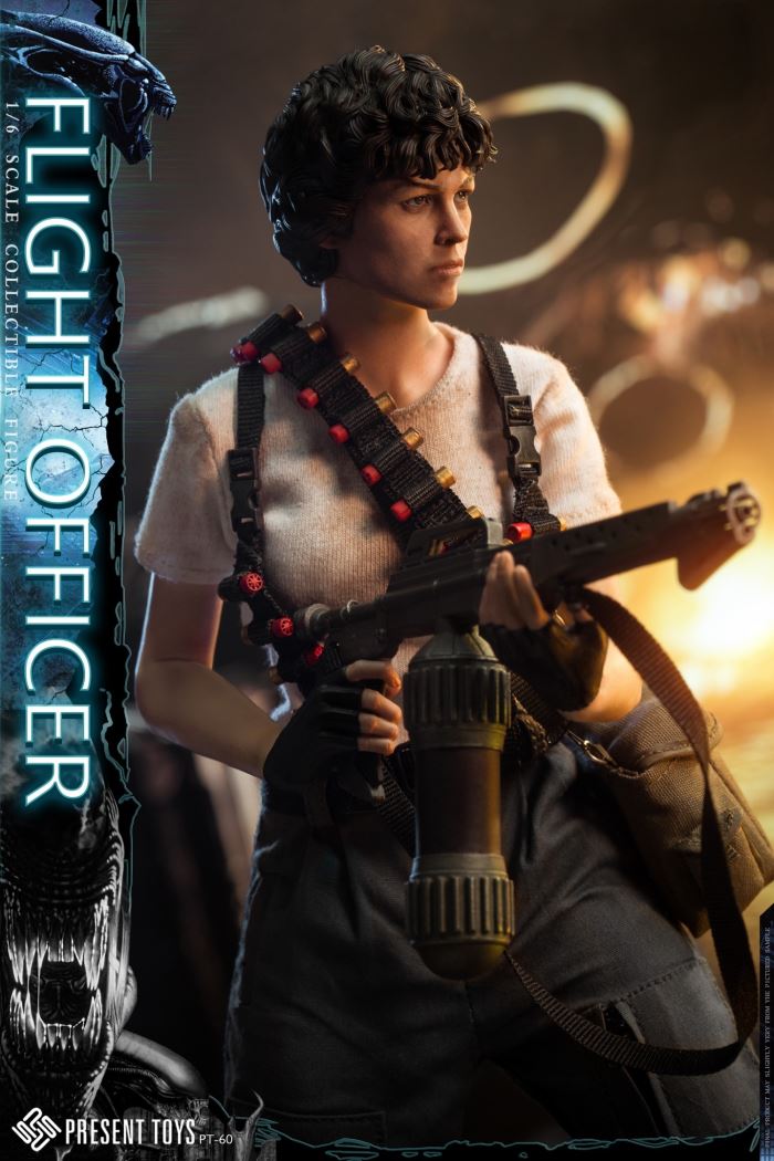 Flight officer 1/6