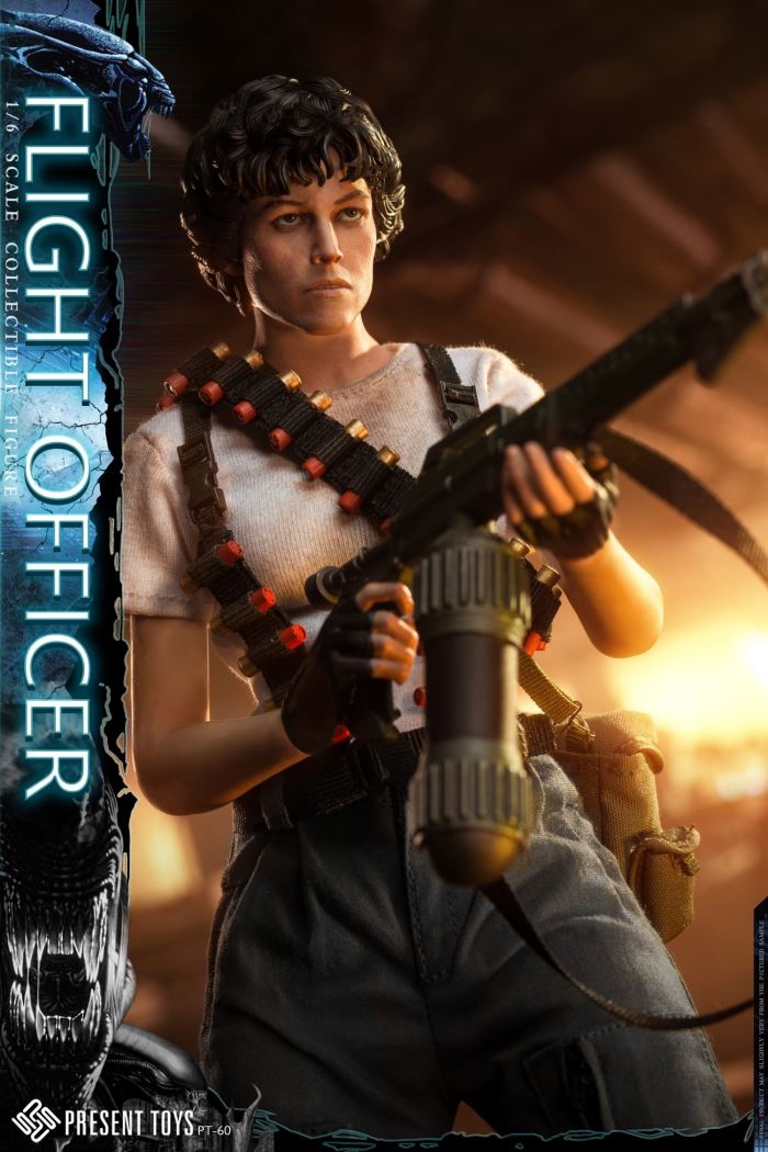 Flight officer 1/6