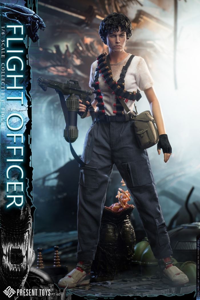 Flight officer 1/6