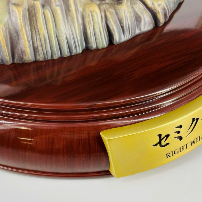 NATURE TALES right whale parent-child