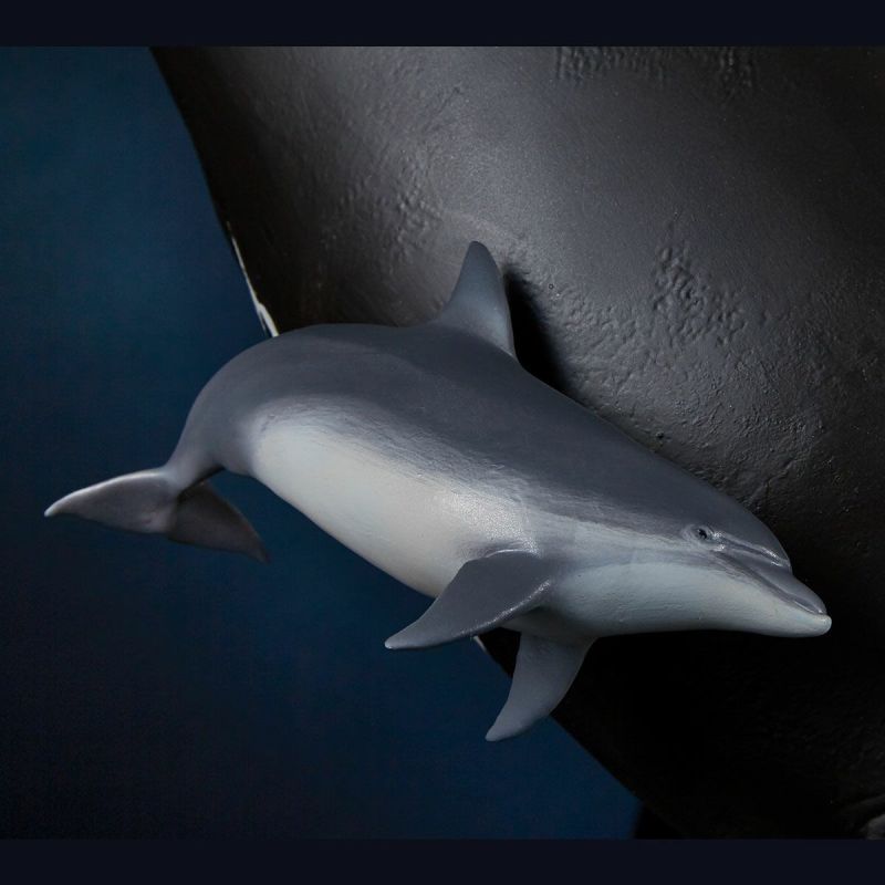 NATURE TALES right whale parent-child