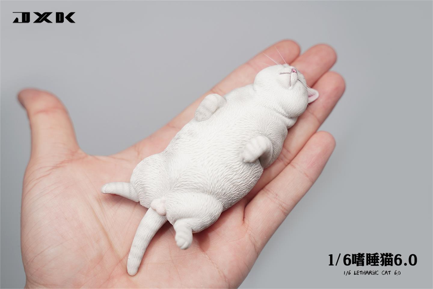 Sleepy cat 6.0 (JXK170) 1/6
