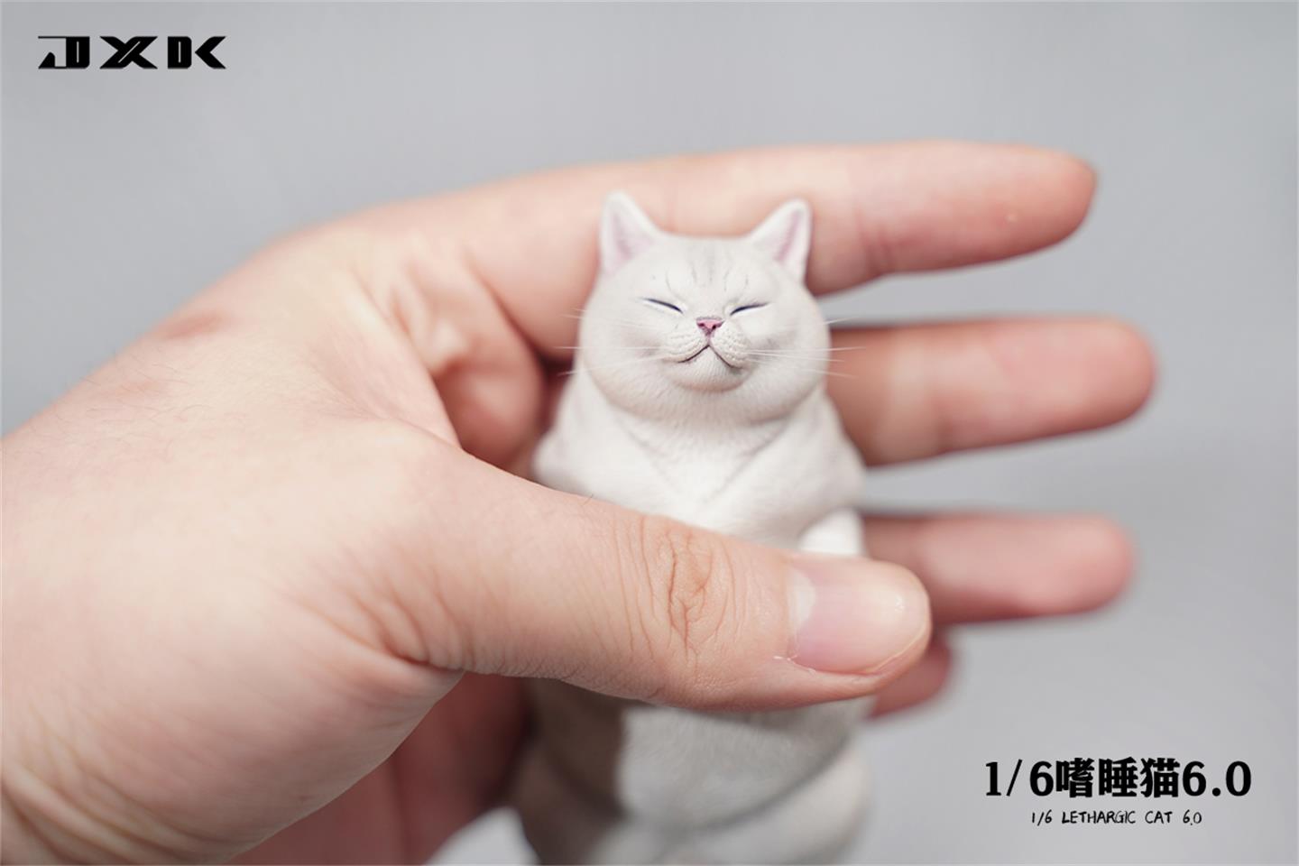 Sleepy cat 6.0 (JXK170) 1/6