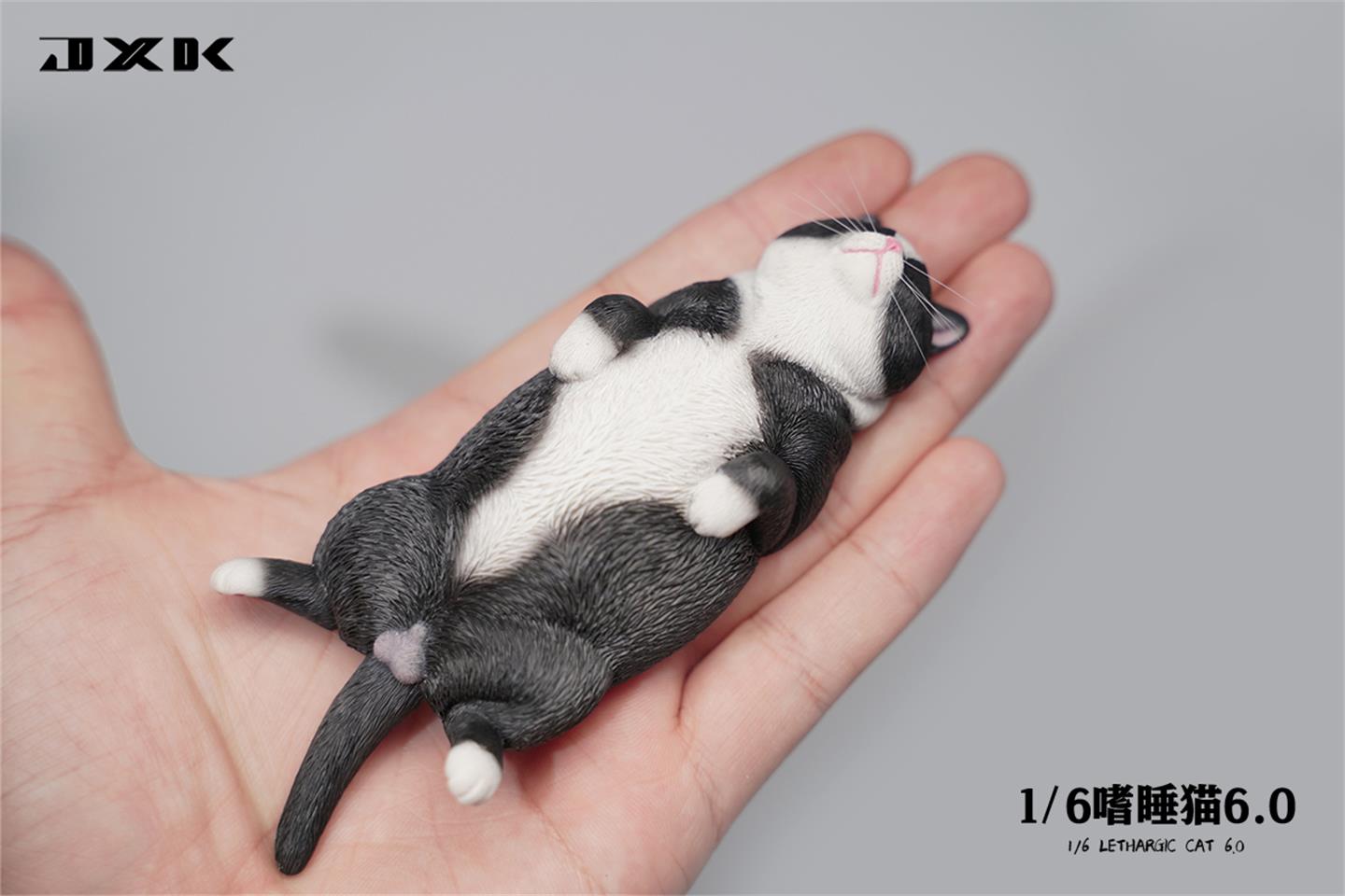 Sleepy cat 6.0 (JXK170) 1/6