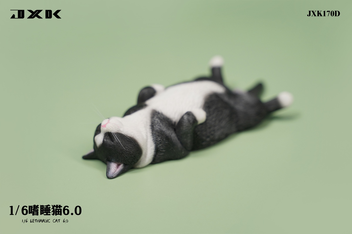 Sleepy cat 6.0 (JXK170) 1/6
