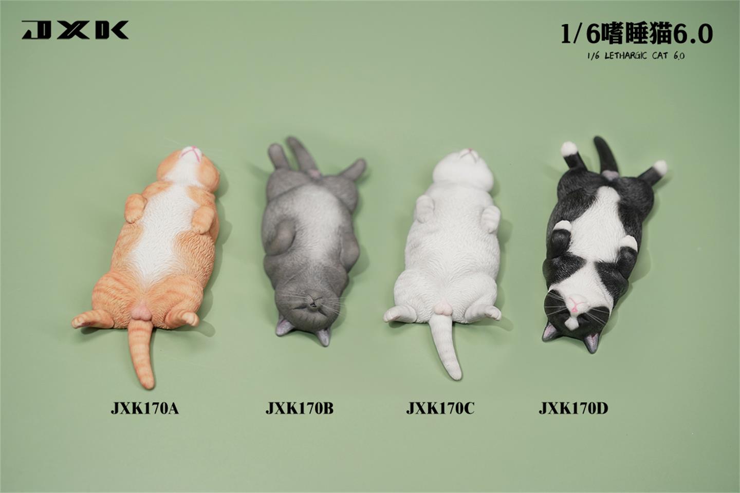 Sleepy cat 6.0 (JXK170) 1/6